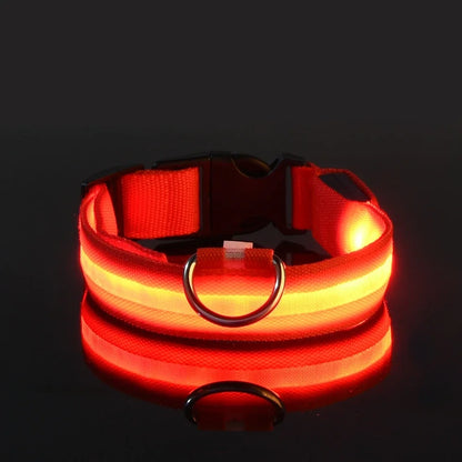 Everloom GlowGuard LED Collar
