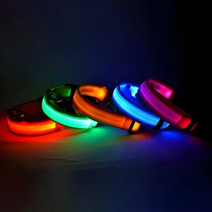 Everloom GlowGuard LED Collar