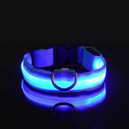 Everloom GlowGuard LED Collar