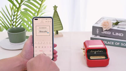 Everloom PrintMate B21