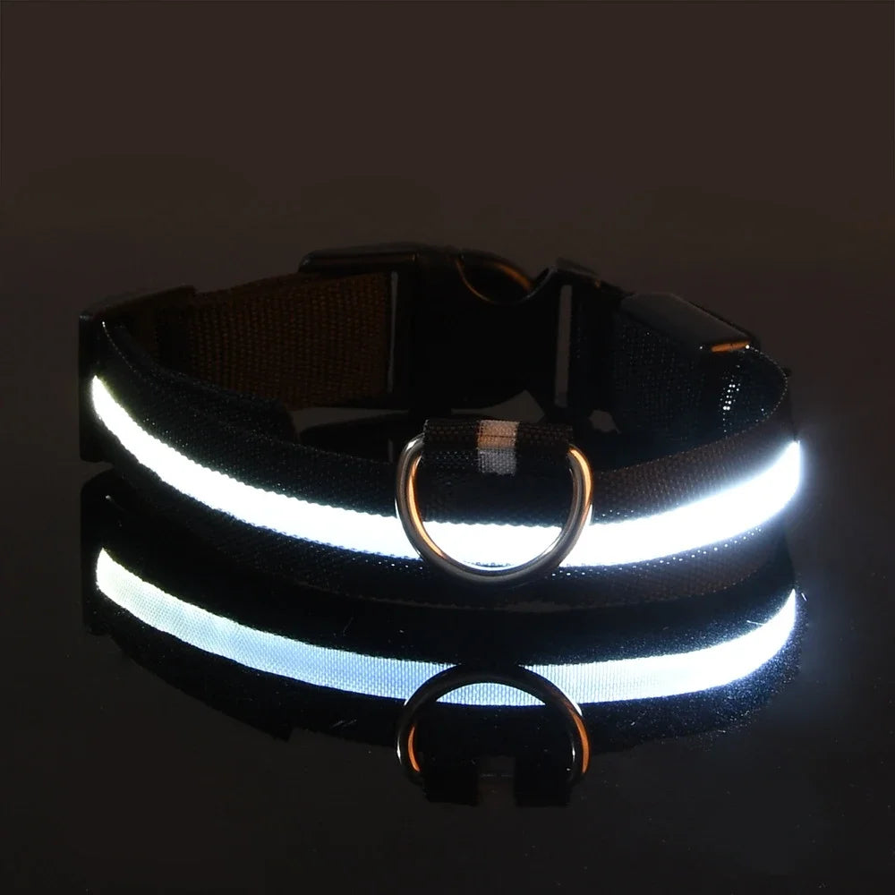 Everloom GlowGuard LED Collar