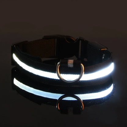 Everloom GlowGuard LED Collar
