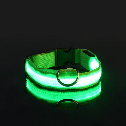 Everloom GlowGuard LED Collar