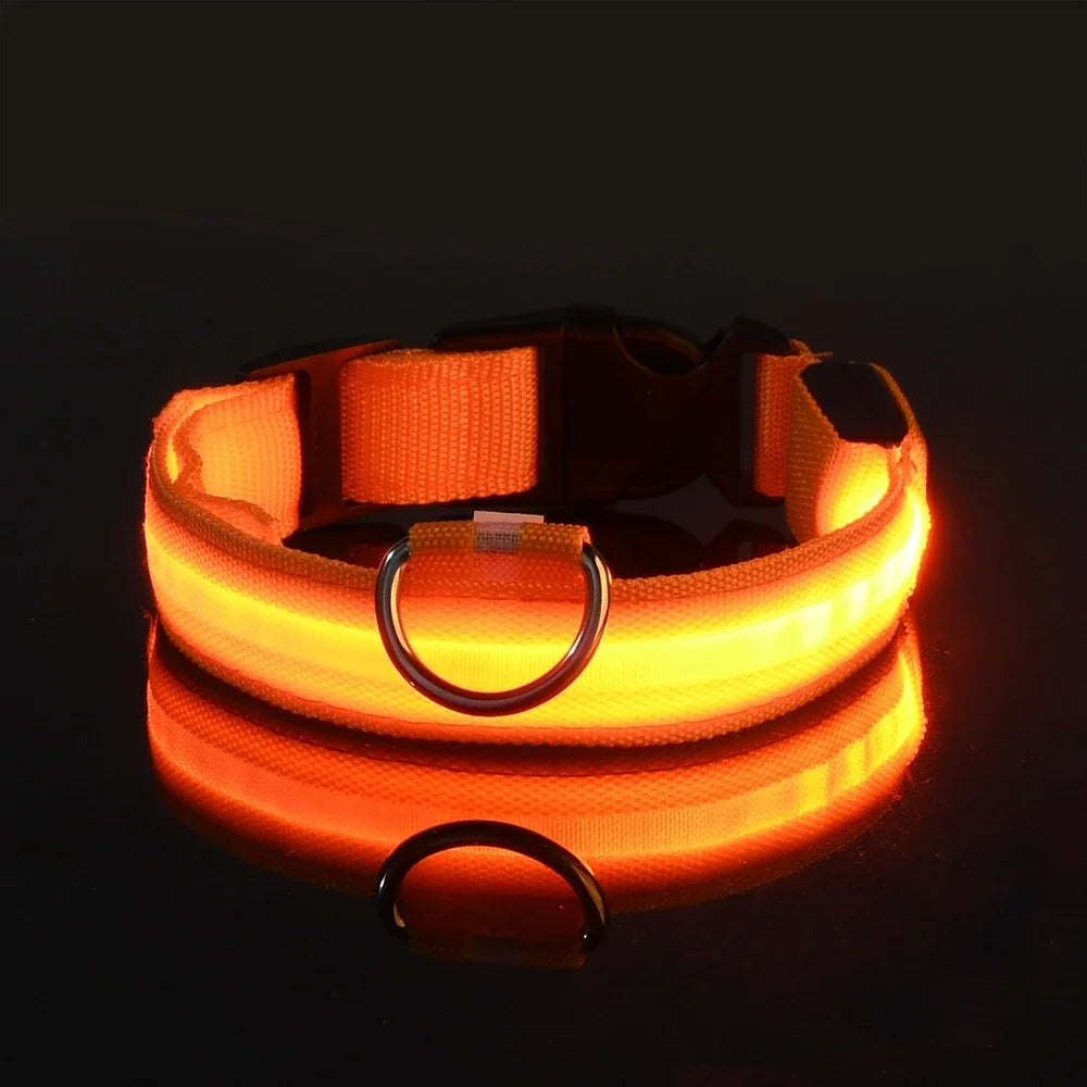 Everloom GlowGuard LED Collar