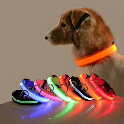 Everloom GlowGuard LED Collar