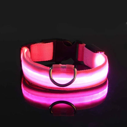 Everloom GlowGuard LED Collar
