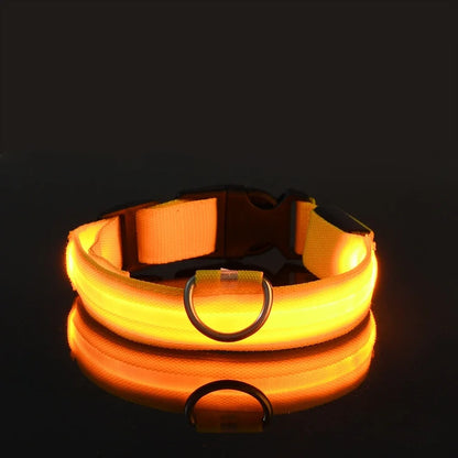 Everloom GlowGuard LED Collar